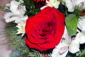 A perfect rose in a lovely Christmas bouquet.