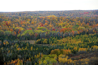 Autumn view of the Jordan River Valley, from Deadman's Hill, Elmira, Michigan.