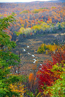 Autumn view of the Jordan River Valley, from Deadman's Hill, Elmira, Michigan.